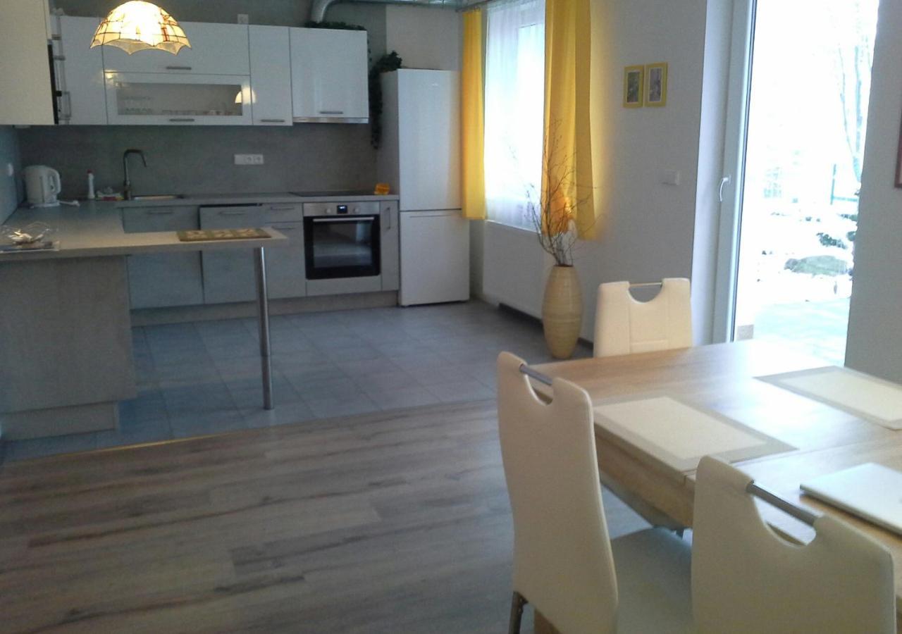 Rodinny Apartman Lucie V Blizkosti Wellness Hotelu Ve Frymburku Εξωτερικό φωτογραφία