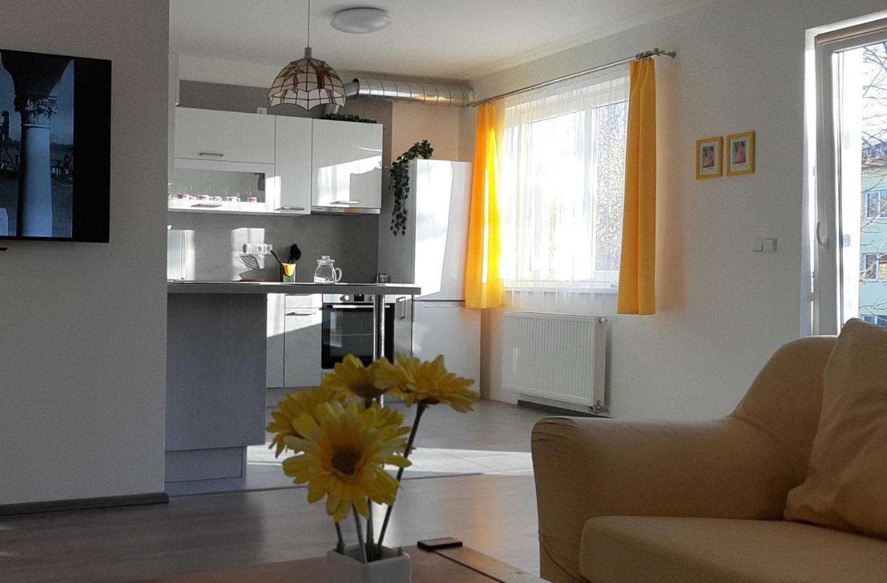 Rodinny Apartman Lucie V Blizkosti Wellness Hotelu Ve Frymburku Εξωτερικό φωτογραφία