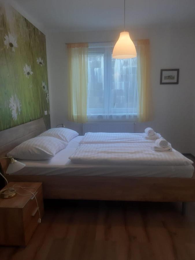 Rodinny Apartman Lucie V Blizkosti Wellness Hotelu Ve Frymburku Εξωτερικό φωτογραφία
