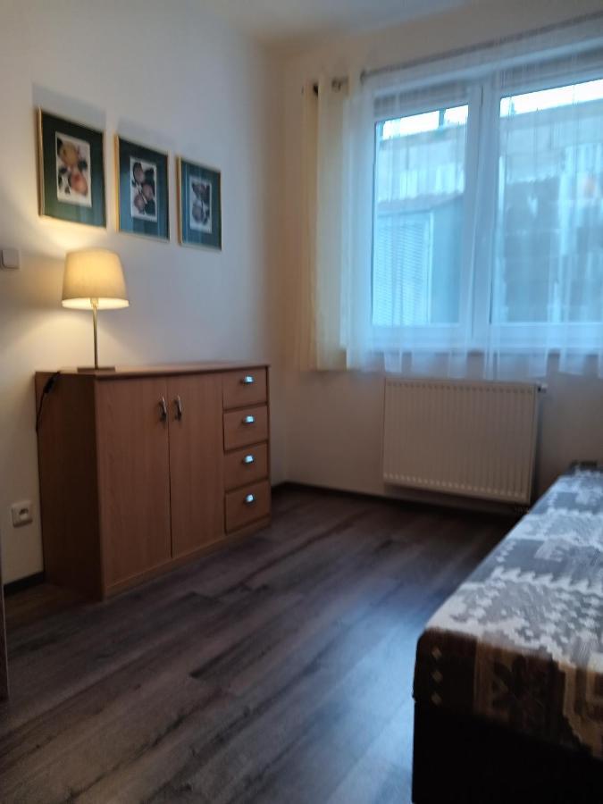 Rodinny Apartman Lucie V Blizkosti Wellness Hotelu Ve Frymburku Εξωτερικό φωτογραφία